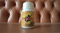 Herbal Dalipid Obat Untuk Penyakit Kolesterol