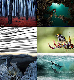 australian geographic nature photographer of the year 2018