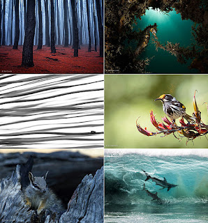 australian geographic nature photographer of the year 2018