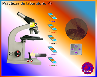 http://www.genmagic.net/fisica/pl1c.swf