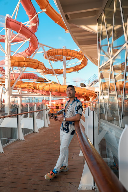 Waterslides | Oasis of the Seas Couple's Review