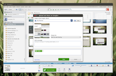 picasa 3.9 linux google plus share