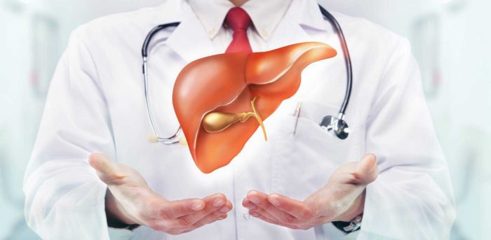 Pengobatan Untuk Sembuhkan Perlemakan Hati (Fatty Liver) Secara Alami