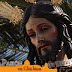 La Borriquita celebrará sus cultos en honor a Cristo Rey