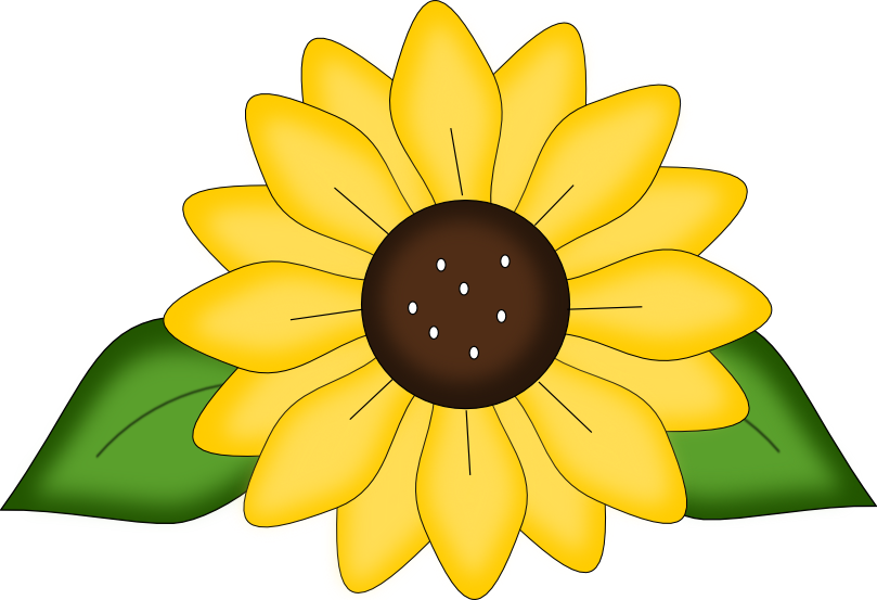 Download Free Sunflower Svg pattern and png