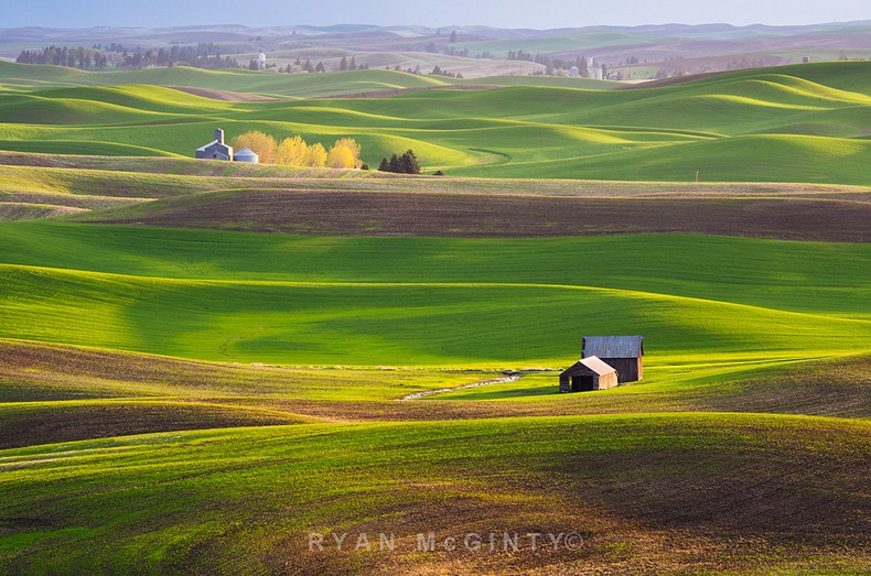 palouse-16