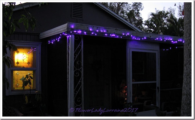 12-20-lights3