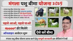 Cm Mangla Pashu Bima Yojna 2026, Rajasthan Animal Insurance Premium - मुख्यमंत्री मंगला पशु बीमा योजना