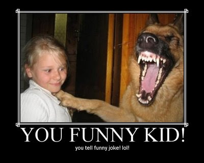 funny dog pics. Funny Dog Pictures