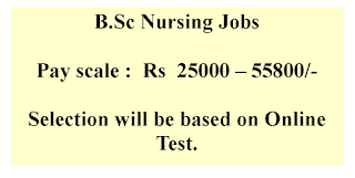 B.Sc Nursing Jobs in Gujarat State Electricity Corporation Limited