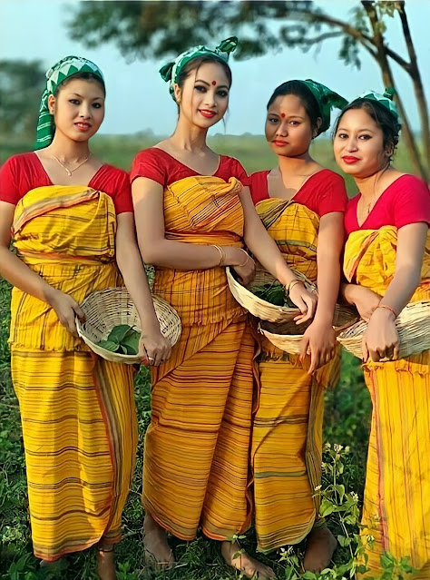 Beautiful Bodo girls in their traditional dresses