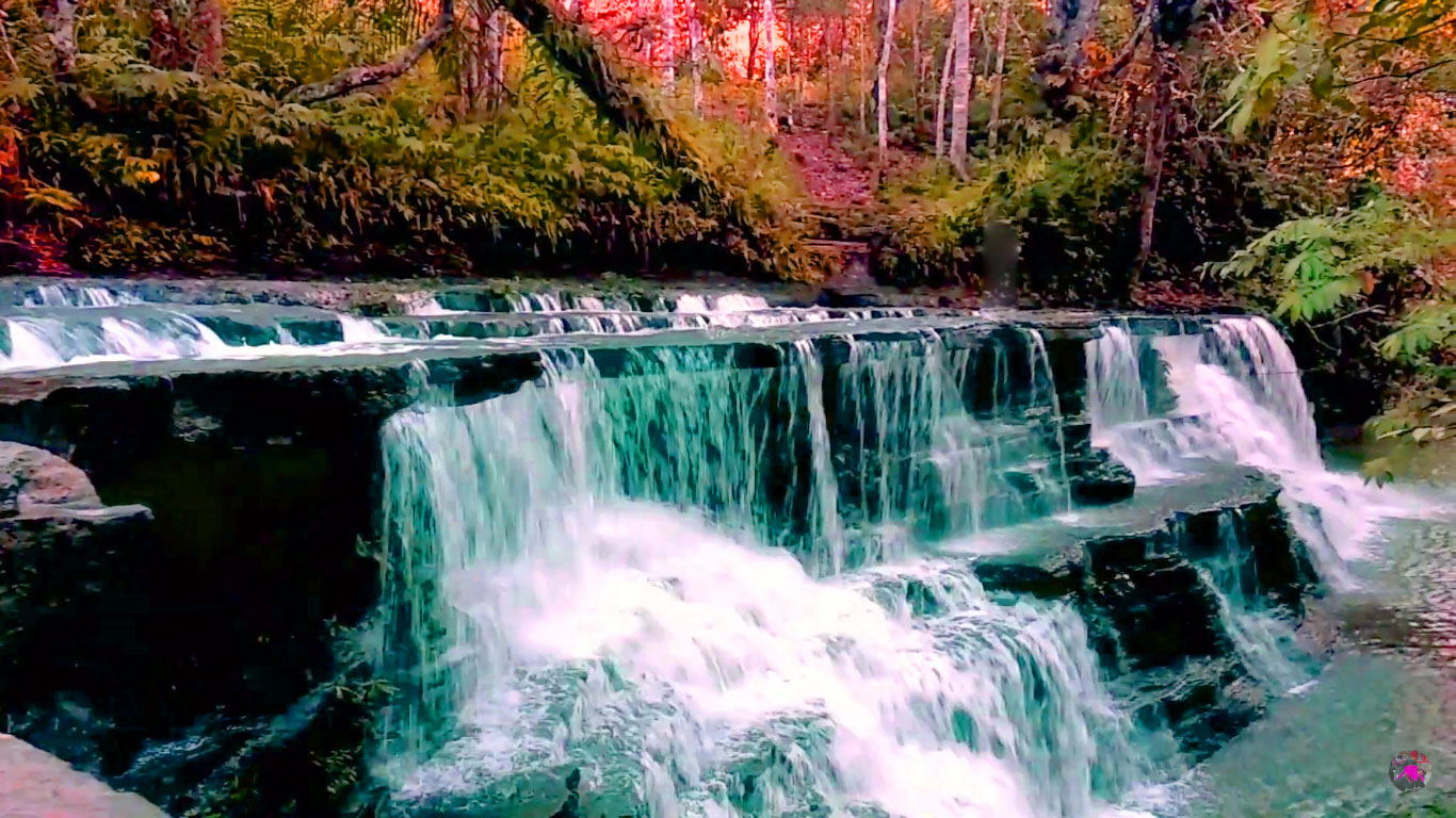 Air Terjun Nokan Cicak