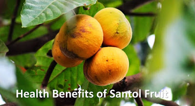 Top 10 Santol Fruit Health Benefits - Pregnant Women, Skin