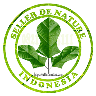 Alamat De Nature yang asli dari cilacap