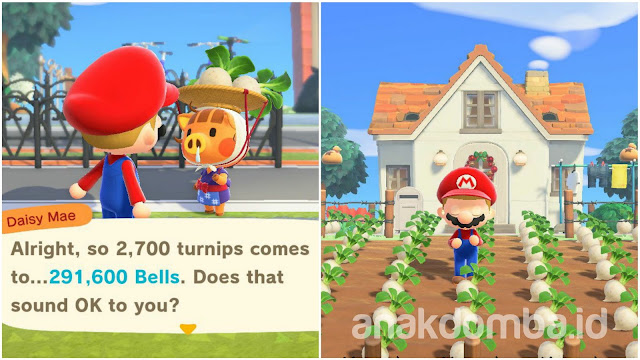 Cara Mendapatkan Uang di Animal Crossing