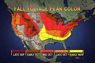  Check out our Fall Foliage Report beginning Sept.1st