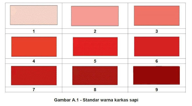 warna karkas daging sapi