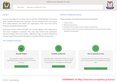 Tanzania, eVisa, electronic visa, screenshot, Zanzibar