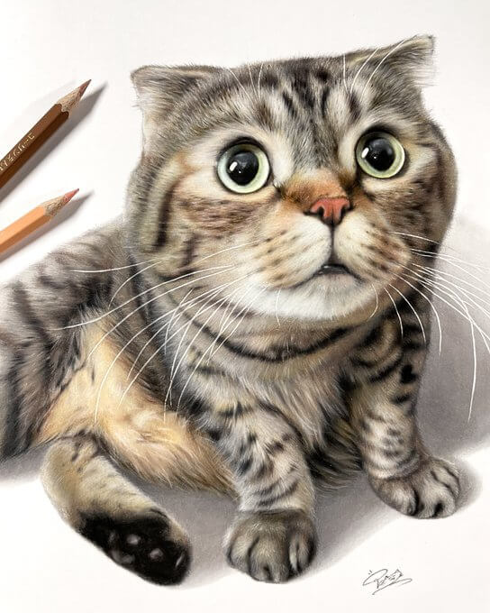 Cat Drawing Stock Photos and Images - 123RF