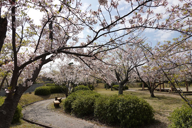 鳥取県西伯郡大山町御来屋 名和公園