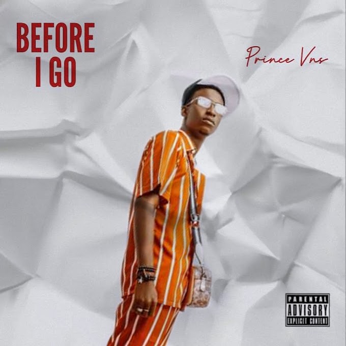 Prince VNS — Before I Go