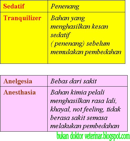 Bukan doktor veterinar: Bius, Tranquilization dan sedatif