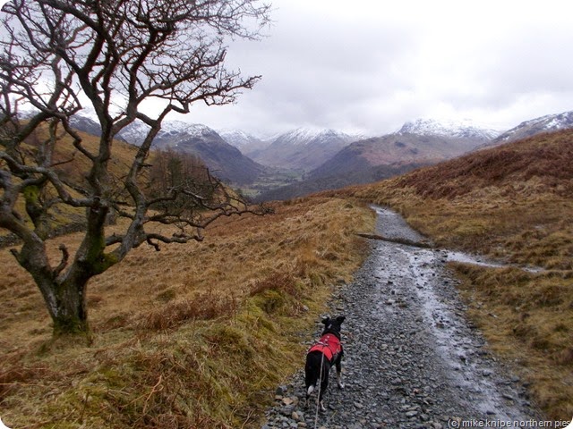 to the pub!