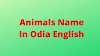 Animals Name Odia To English || Odia Names Of All Animals ||