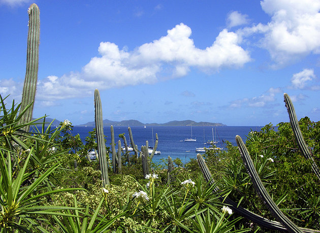 Gorda Peak National Park, Virgin Gorda