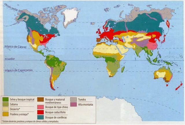 Mapa de los medios naturales en el mundo