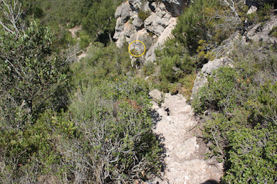 LA JUNCOSA DEL MONTMELL - BAIX PENEDÈS, corriol entre el Puig de la Creu i el Puig del Castell, senyal blanca i verda del SL des de la Creu del Cap de la Serra del Montmell