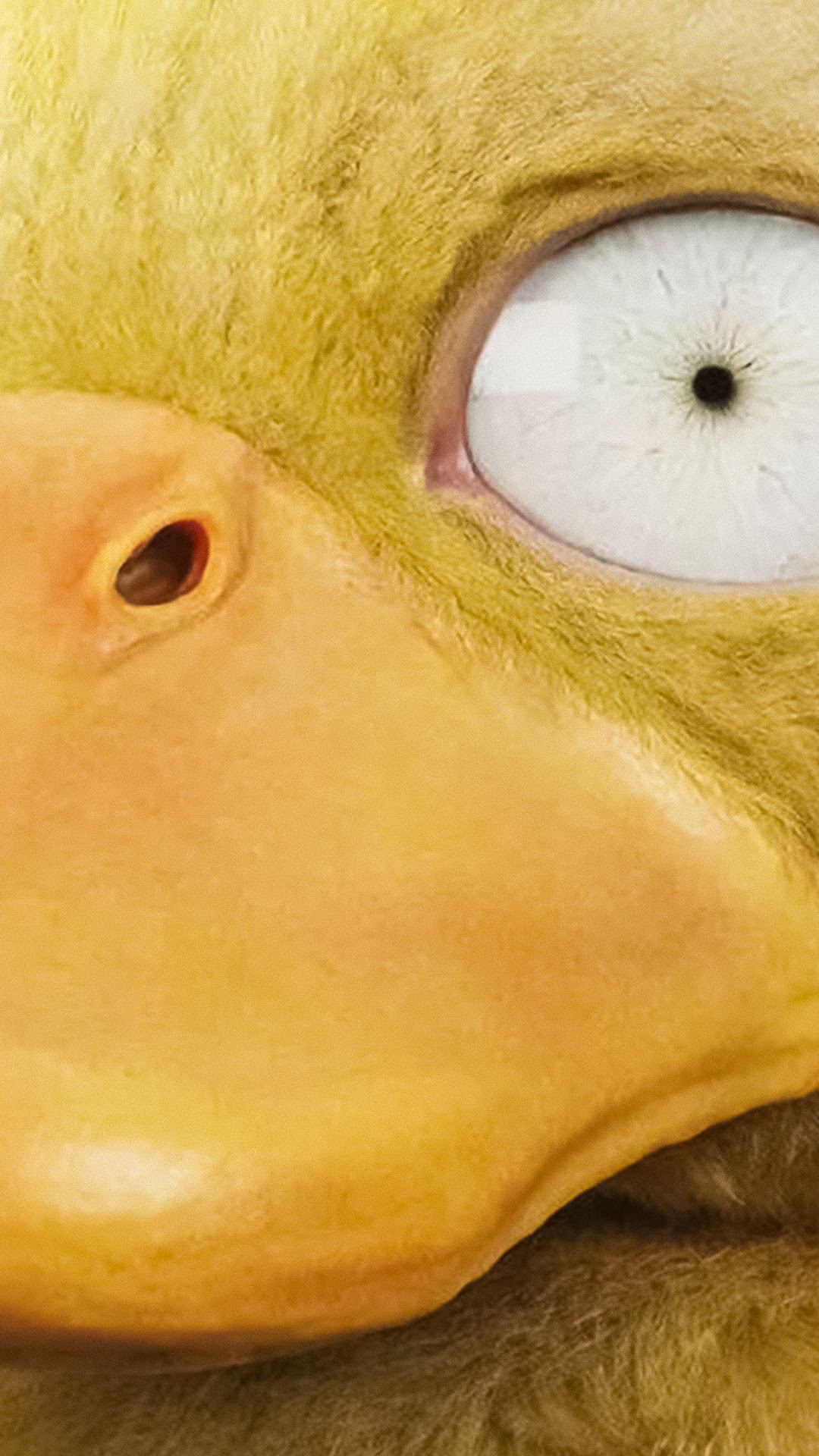 Detective Pikachu Psyduck 8k Wallpaper 65