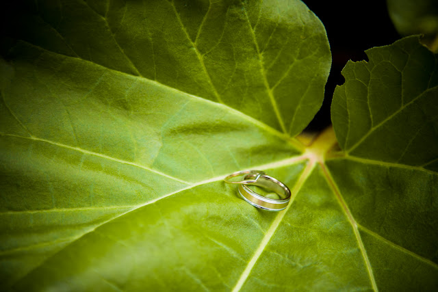 photographe mariage rive sud