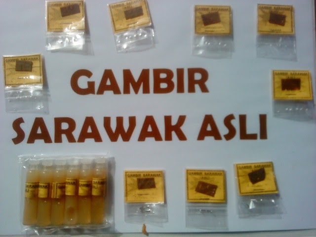 FOTO IKLAN: Gambir Sarawak Asli