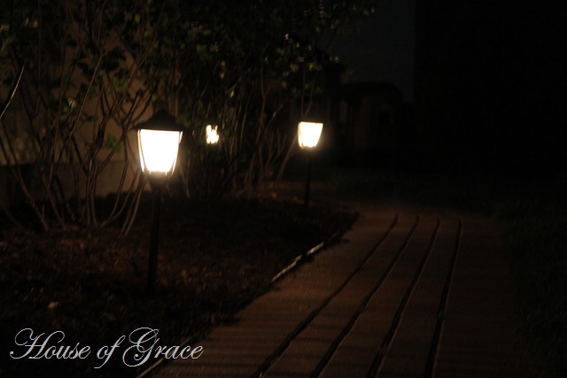 2011 05 17_5165