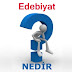 Edebiyat Nedir