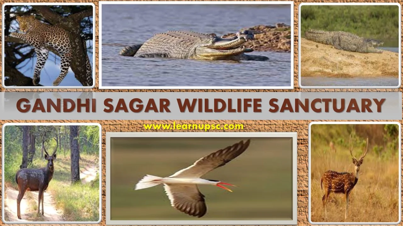 Gandhi Sagar Wildlife Sanctuary