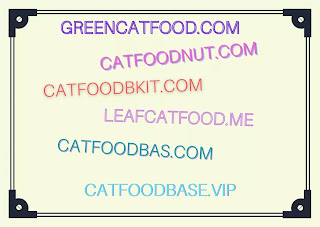 Best Cat Food Domain Names For Blogger And Word Press in 2021