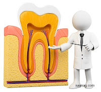 Single Visit Endodontics