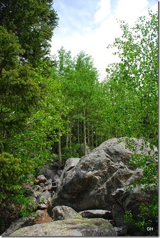 06-22-14 B RMNP Bear Lake (36)
