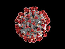 Covid-19 virus