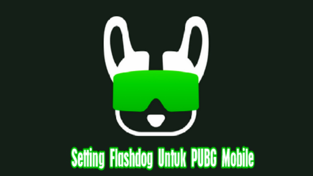 Cara Setting Flashdog Terbaru