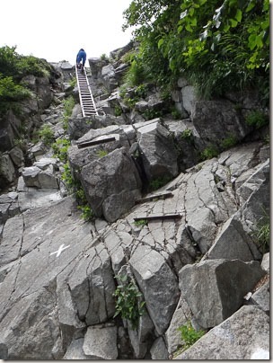 410DSC04108-410
