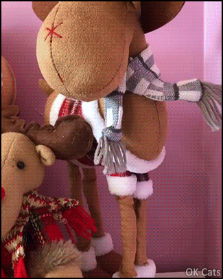 Christmas Cat GIF • Hang on a minute, did one of these Santa cat and Elf models just move? [ok-cats.com]