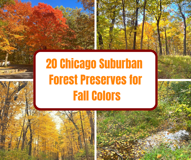 20 Chicago Suburbs Forest Preserves For Fall Colors