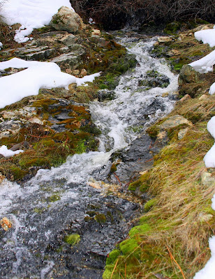 Most of the year this stream bed is dry