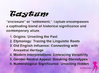 meaning of the name "Taytum"