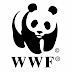 WWF Coin released on 24 November