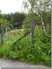 river dee verge