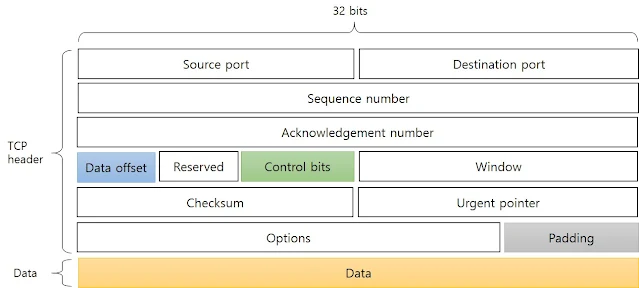 TCP segment header format structure
